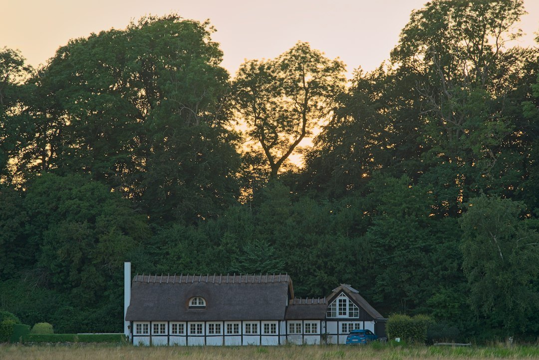 young artist in danish countryside