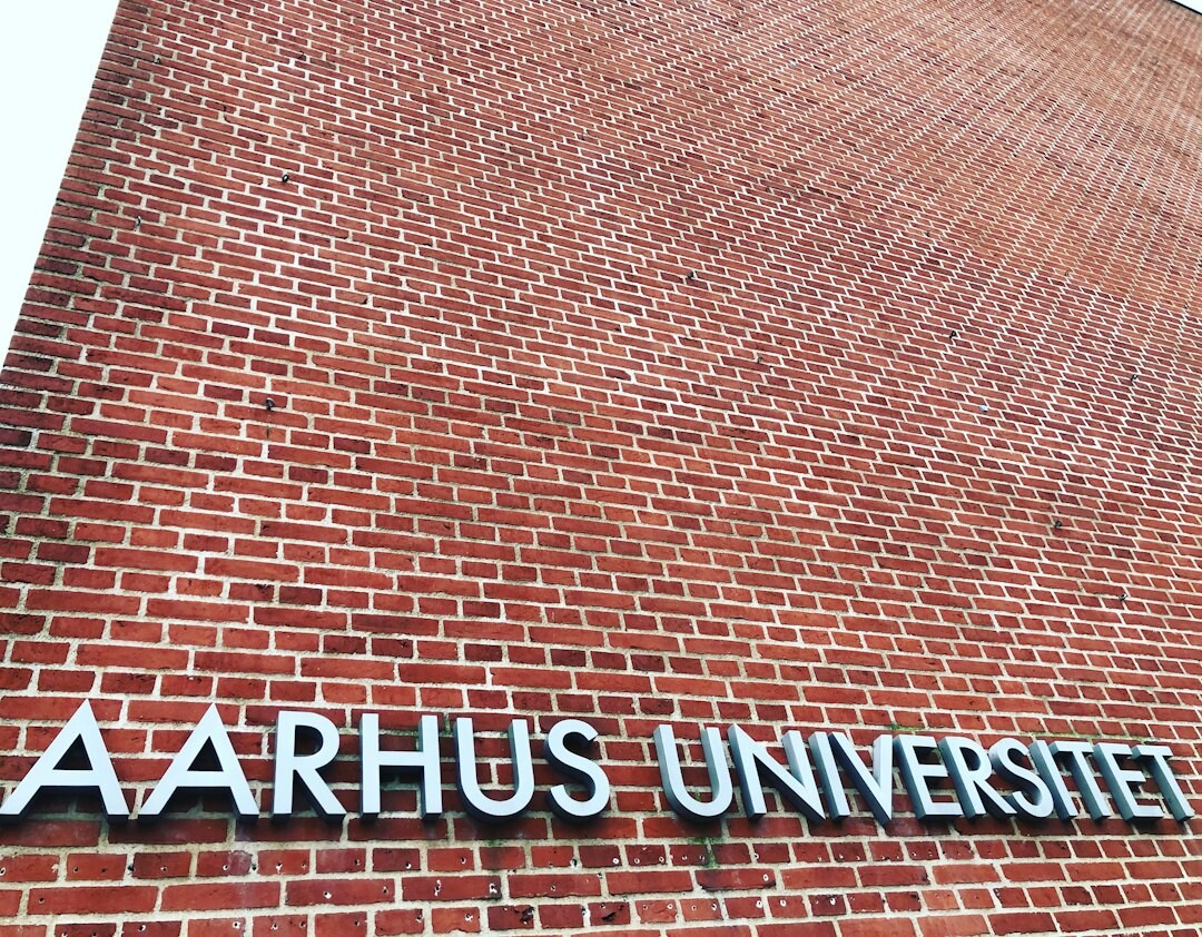 aarhus immigrant families